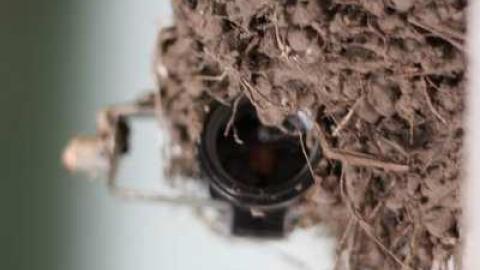 '12 visit - The-Lapp-House10.jpg