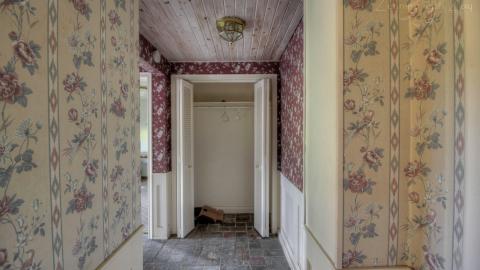 July 2020 - Collages5.jpg