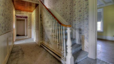 July 2020 - Collages23.jpg