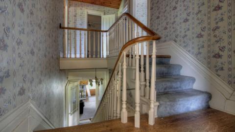 July 2020 - Collages27.jpg