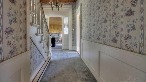 July 2020 - Collages37.jpg