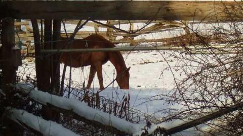 Rooms With A View  - Neglected-Manor141.jpg