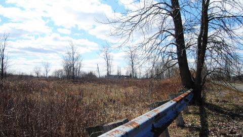 Start Your Engines - April 2013 - DSC_0025.jpg