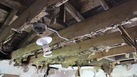 5 Years Later - IMG_1125.JPG