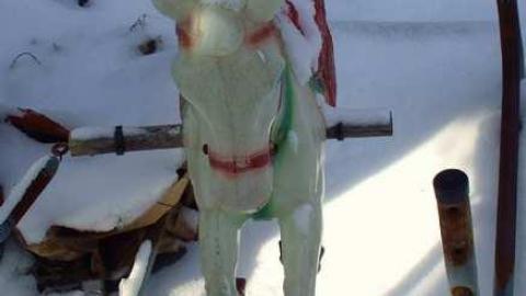 Rooms With A View 2nd Gallery - Neglected-Manor148.jpg