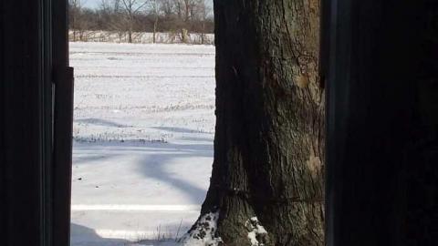 Another Hole In The Wall - Medway-Road-Violated-Beauty8.jpg