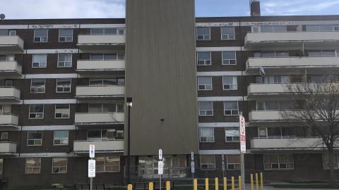 Early May 2021 - D90865B9-8724-46D7-8E30-3854E0978EF6.jpeg