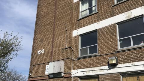 Early May 2021 - 94A80F21-0A52-4F84-9A09-7BFB6D643860.jpeg