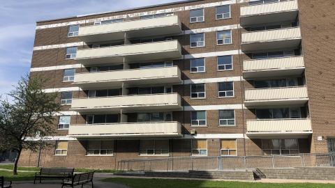 Early May 2021 - CE3557A4-BF96-4C3E-8750-D34B8B2328DF.jpeg