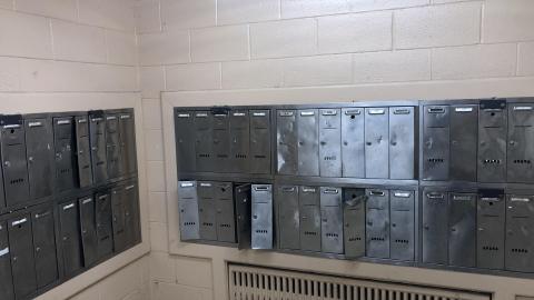 Early May 2021 - 9531E35F-0088-4059-9AB5-B19BF72707BE.jpeg