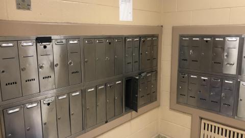 Early May 2021 - FE75E263-5880-4B76-ADD9-D865B0EEF871.jpeg