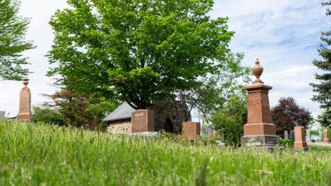 Photo from 2021 - 05 - 21