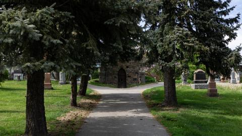 2021 - 05 - 21 - DSC04241.jpg