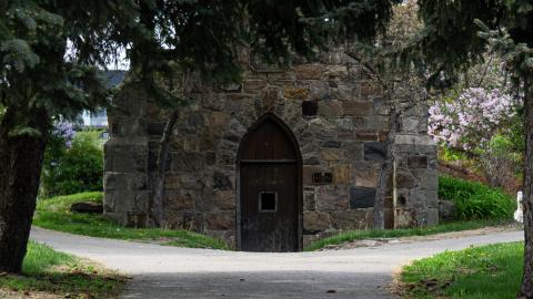 2021 - 05 - 21 - DSC04249.jpg