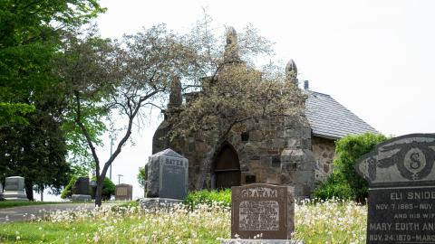 2021 - 05 - 21 - DSC04253.jpg