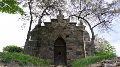 2021 - 05 - 21 - DSC04263.jpg