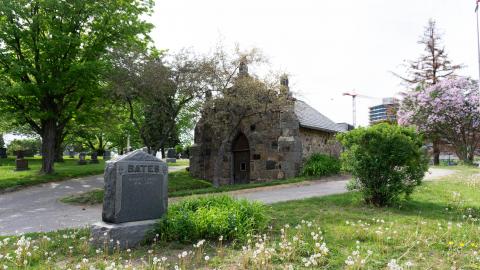 2021 - 05 - 21 - DSC04265.jpg