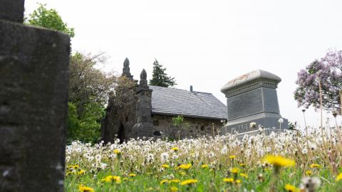 2021 - 05 - 21 - DSC04273.jpg