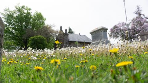 2021 - 05 - 21 - DSC04276.jpg