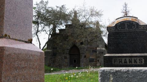 2021 - 05 - 21 - DSC04277.jpg