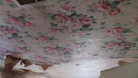 Another Hole In The Wall - Medway-Road-Violated-Beauty17.jpg