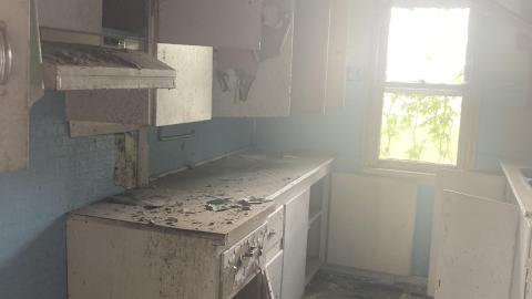 May 2021 - 537A44DF-5245-46D3-8849-B936C9F90627.jpeg