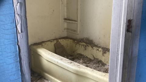 May 2021 - F2615C78-952B-4D83-9526-B73AA9FCE017.jpeg