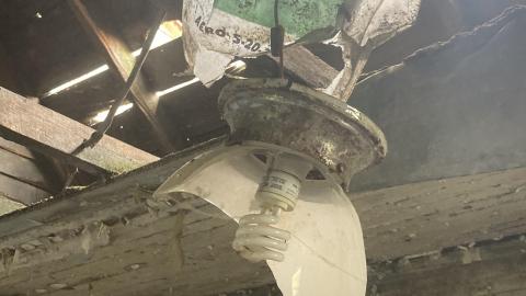 May 2021 - EADE871C-98D1-423E-A277-4BF5E603D969.jpeg