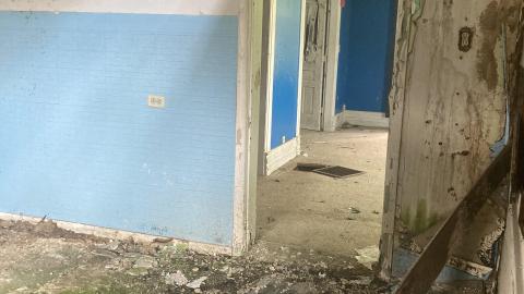 May 2021 - C86B9789-3109-4533-A448-B143EA281751.jpeg