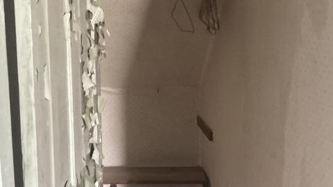 May 2021 - C00F8B73-E1E3-4097-A79F-08F69DD29BA4.jpeg