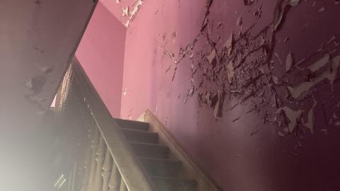 May 2021 - 8FC88043-CE86-4142-BD37-83DD1F346684.jpeg