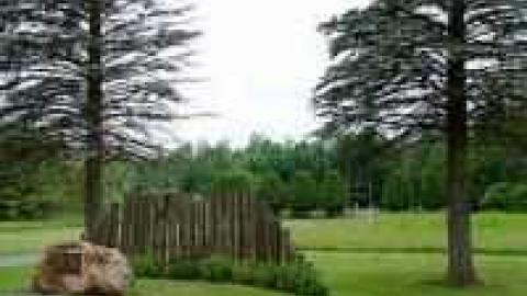 george - Lemieux-(ghost-town)6.jpg