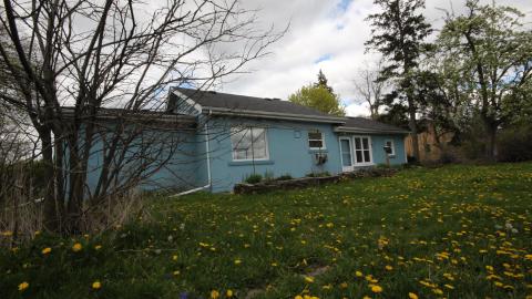 You SEE The ANIMALS - IMG_2200.JPG