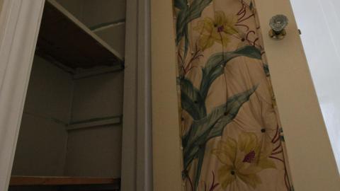 You SEE The ANIMALS - IMG_2196.JPG