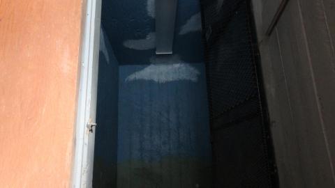 You SEE The ANIMALS - IMG_2189.JPG