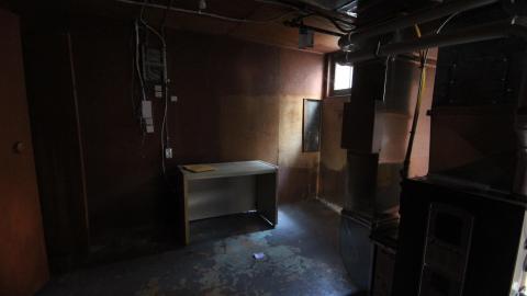 You SEE The ANIMALS - IMG_2184.JPG