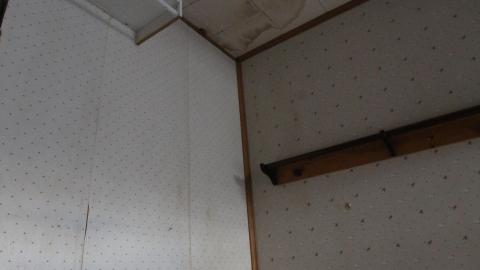 You SEE The ANIMALS - IMG_2163.JPG