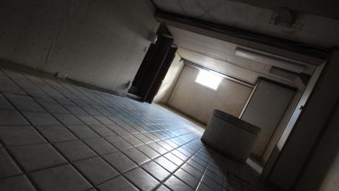 You SEE The ANIMALS - IMG_2160.JPG