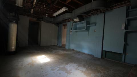 You SEE The ANIMALS - IMG_2159.JPG