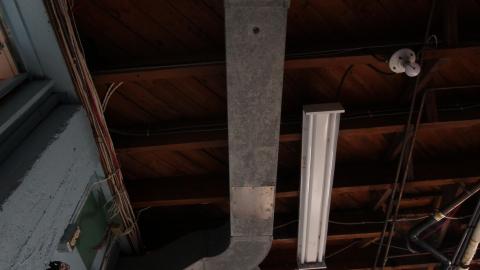 You SEE The ANIMALS - IMG_2157.JPG