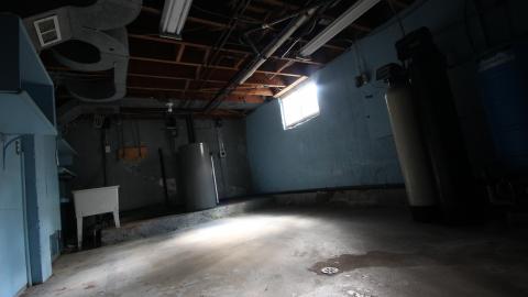 You SEE The ANIMALS - IMG_2156.JPG