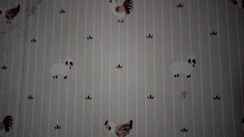 You SEE The ANIMALS - IMG_2155.JPG