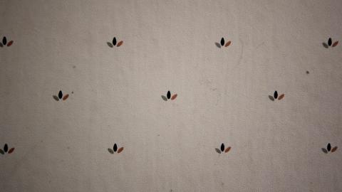 You SEE The ANIMALS - IMG_2154.JPG