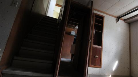 You SEE The ANIMALS - IMG_2152.JPG