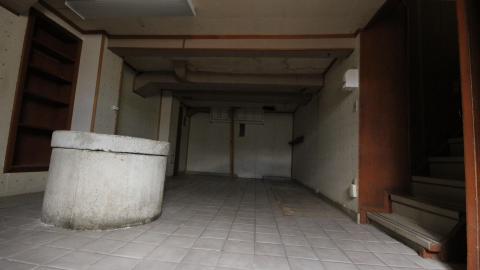 You SEE The ANIMALS - IMG_2151.JPG