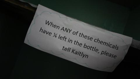 You SEE The ANIMALS - IMG_2148.JPG