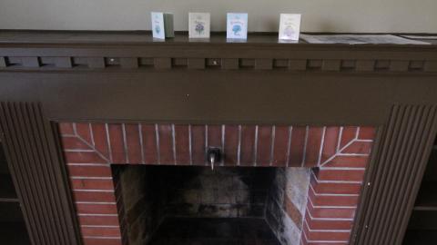 You SEE The ANIMALS - IMG_2144.JPG