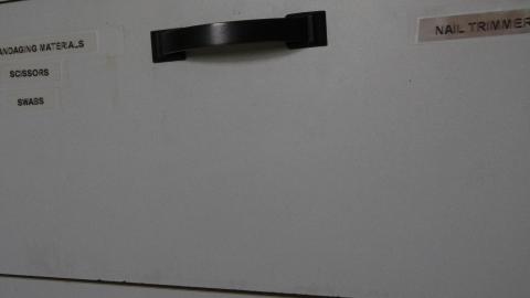 You SEE The ANIMALS - IMG_2135.JPG