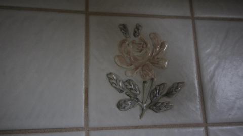 You SEE The ANIMALS - IMG_2125.JPG