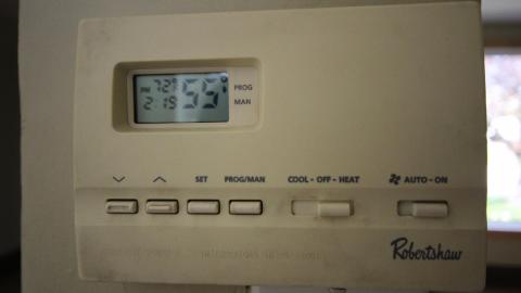 You SEE The ANIMALS - IMG_2120.JPG